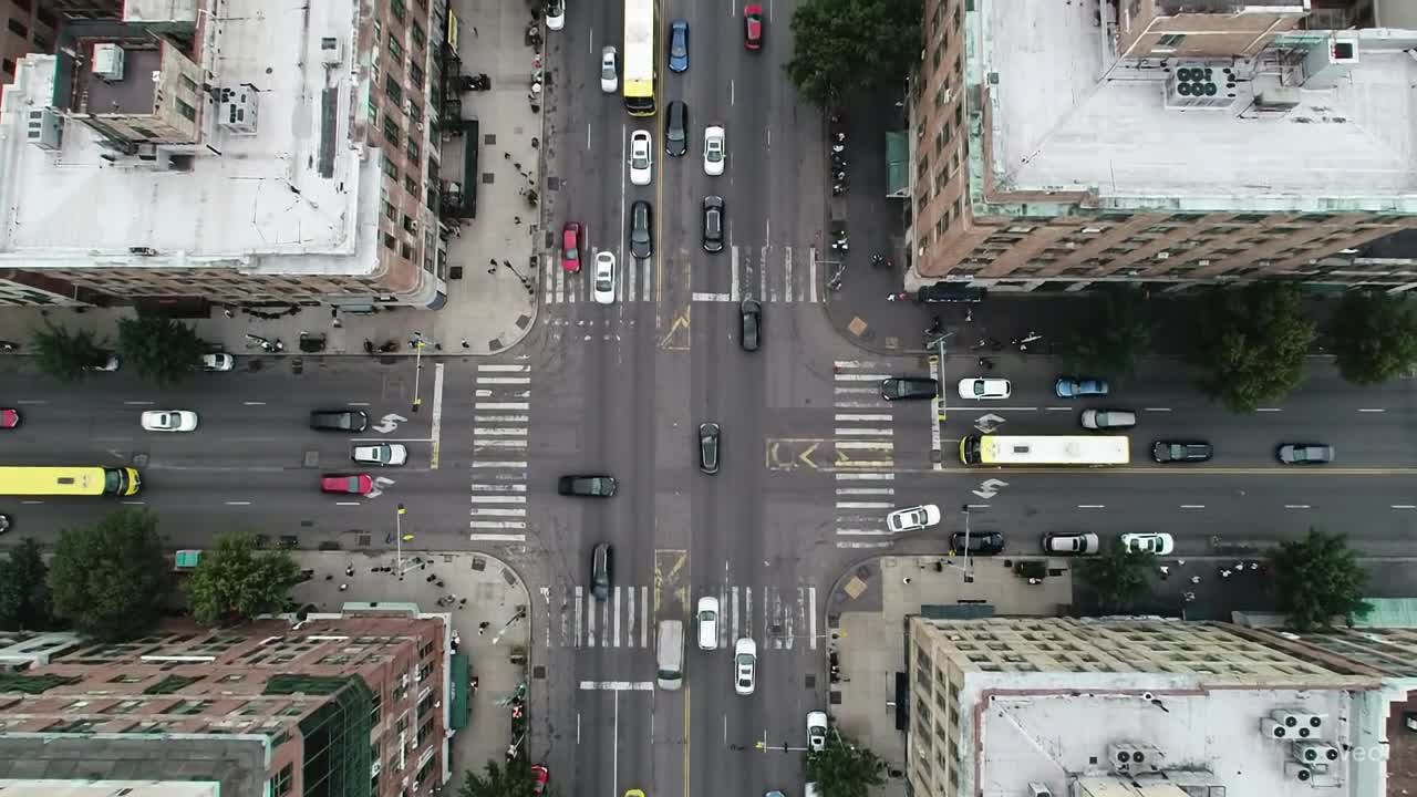 Preview for Bird's Eye View